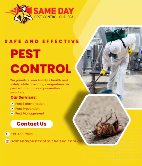 Pest Control Chelsea